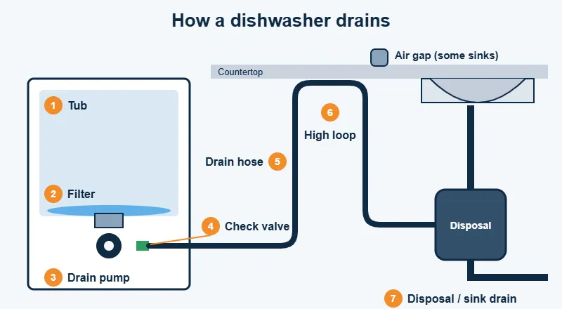Diagram of a dishwasher drain path from filter to pump, hose, air gap and disposal